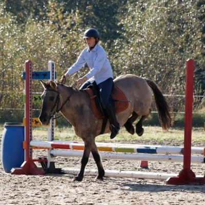 Hubertus 2019 - cz. III - konkurs skoków 50 cm (fot. Piotr Kawula)