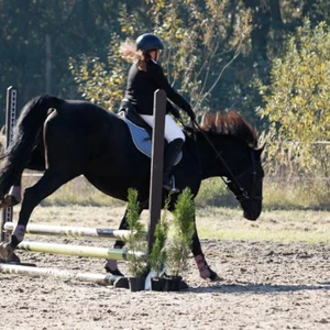 Hubertus 2019 - cz. III - konkurs skoków 50 cm (fot. Piotr Kawula)