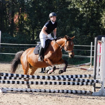 Hubertus 2019 - cz. III - konkurs skoków 50 cm (fot. Piotr Kawula)