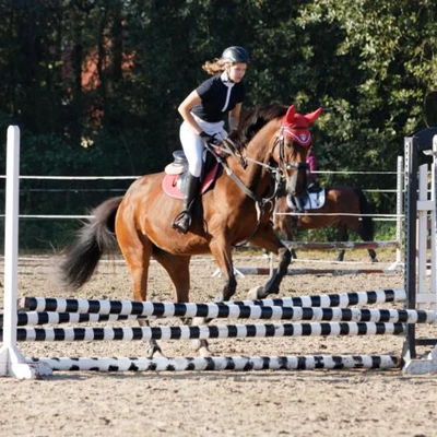 Hubertus 2019 - cz. III - konkurs skoków 50 cm (fot. Piotr Kawula)