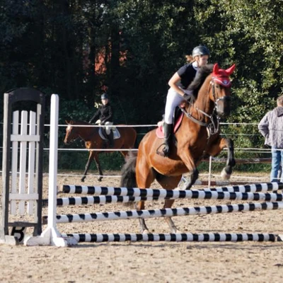 Hubertus 2019 - cz. II - konkurs skoków 70 cm (fot. Piotr Kawula)