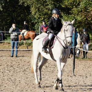 Hubertus 2019 - cz. II - konkurs skoków 70 cm (fot. Piotr Kawula)