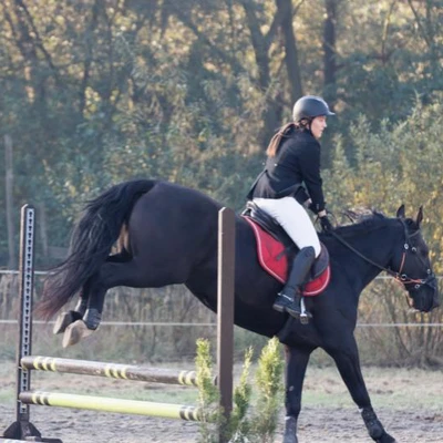 Hubertus 2019 - cz. II - konkurs skoków 70 cm (fot. Piotr Kawula)