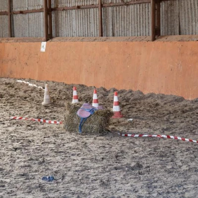 Hubertus 2019 - cz. V (fot. Piotr Kawula)