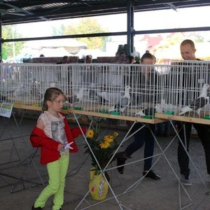 IV Małopolski Festiwal Polskiej Zielononóżki Kuropatwianej w Proszowicach