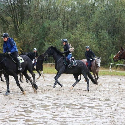 Hubertus 2017 - cz. 2 (Fot. Joanna Wypiór)