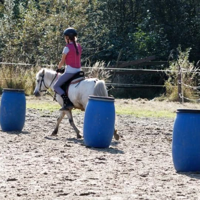 Hubertus 2019 - cz. IV - konkurs podskoków 20 cm (fot. Piotr Kawula)