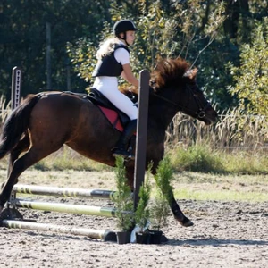 Hubertus 2019 - cz. III - konkurs skoków 50 cm (fot. Piotr Kawula)