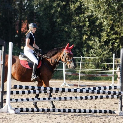 Hubertus 2019 - cz. II - konkurs skoków 70 cm (fot. Piotr Kawula)