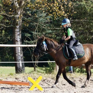 Hubertus 2019 - cz. IV - konkurs podskoków 20 cm (fot. Piotr Kawula)