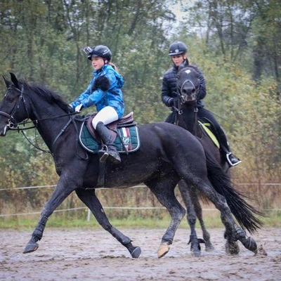 Hubertus 2017 - cz. 1 (Fot. Patrycja Dawid)