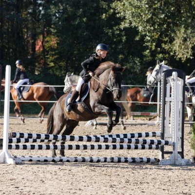 Hubertus 2019 - cz. III - konkurs skoków 50 cm (fot. Piotr Kawula)