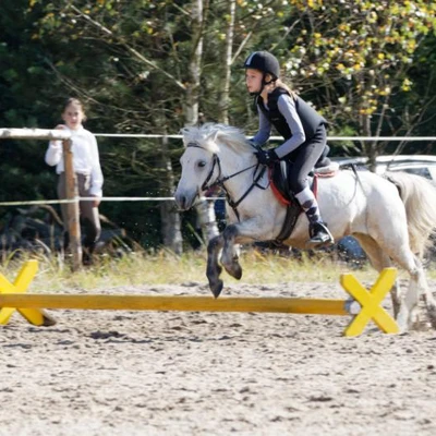 Hubertus 2019 - cz. IV - konkurs podskoków 20 cm (fot. Piotr Kawula)