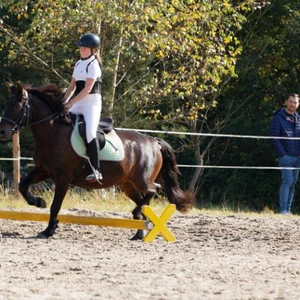 Hubertus 2019 - cz. IV - konkurs podskoków 20 cm (fot. Piotr Kawula)