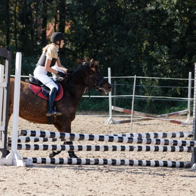 Hubertus 2019 - cz. III - konkurs skoków 50 cm (fot. Piotr Kawula)