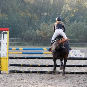 Hubertus 2019 - cz. II - konkurs skoków 70 cm (fot. Piotr Kawula)