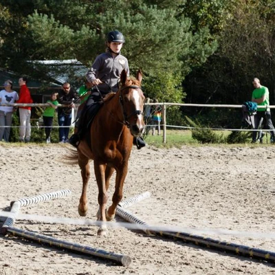 Hubertus 2019 - cz. IV - konkurs podskoków 20 cm (fot. Piotr Kawula)