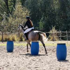 Hubertus 2019 - cz. IV - konkurs podskoków 20 cm (fot. Piotr Kawula)