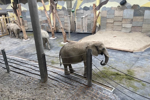 Zajęcia terenowe - ogrody zoologiczne w Wiedniu_8