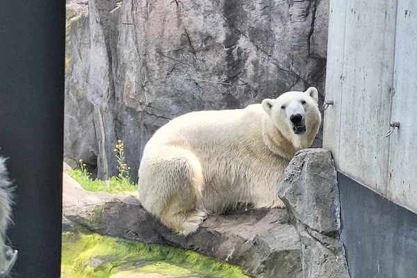 Zajęcia terenowe - ogrody zoologiczne w Wiedniu_8