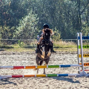 Hubertus 2018 - cz. II (Fot. Konrad Mika)