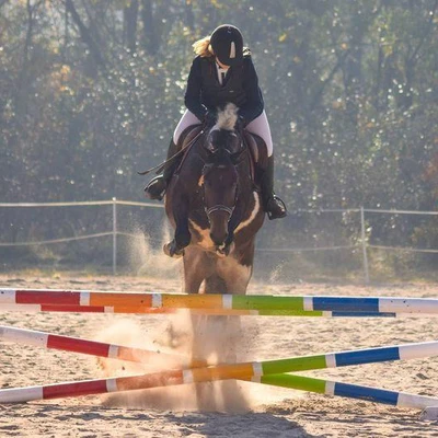 Hubertus 2018 - cz. I (Fot. Anita Daniec)