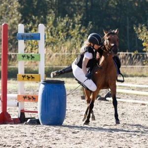 Hubertus 2019 - cz. III - konkurs skoków 50 cm (fot. Piotr Kawula)