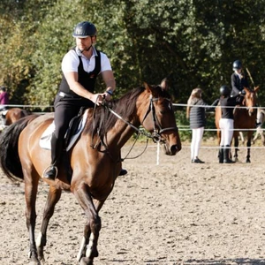 Hubertus 2019 - cz. III - konkurs skoków 50 cm (fot. Piotr Kawula)