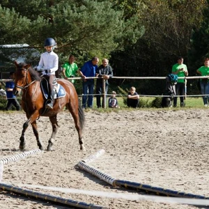 Hubertus 2019 - cz. IV - konkurs podskoków 20 cm (fot. Piotr Kawula)