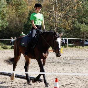 Hubertus 2019 - cz. IV - konkurs podskoków 20 cm (fot. Piotr Kawula)