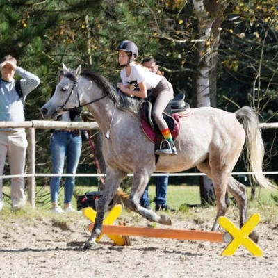 Hubertus 2019 - cz. IV - konkurs podskoków 20 cm (fot. Piotr Kawula)