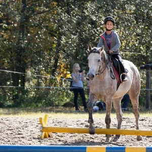 Hubertus 2019 - cz. IV - konkurs podskoków 20 cm (fot. Piotr Kawula)