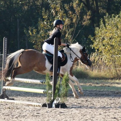 Hubertus 2019 - cz. II - konkurs skoków 70 cm (fot. Piotr Kawula)