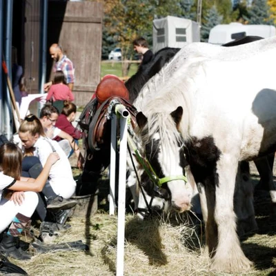 Hubertus 2019 - cz. V (fot. Piotr Kawula)