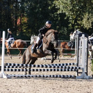 Hubertus 2019 - cz. III - konkurs skoków 50 cm (fot. Piotr Kawula)