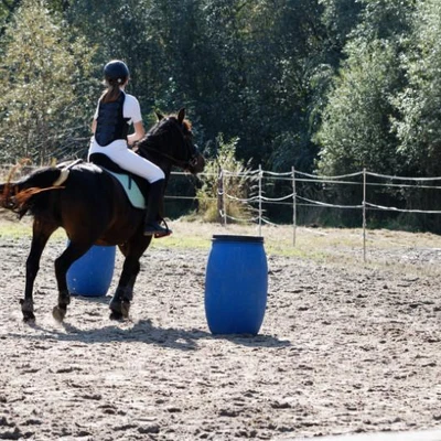 Hubertus 2019 - cz. IV - konkurs podskoków 20 cm (fot. Piotr Kawula)