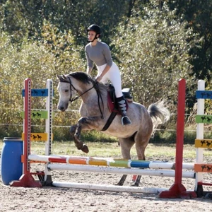 Hubertus 2019 - cz. III - konkurs skoków 50 cm (fot. Piotr Kawula)