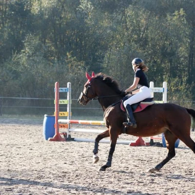 Hubertus 2019 - cz. II - konkurs skoków 70 cm (fot. Piotr Kawula)