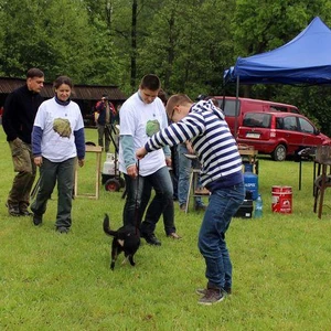 Inauguracja sezonu HIPPIKI w Ośrodku Jazdy Konnej