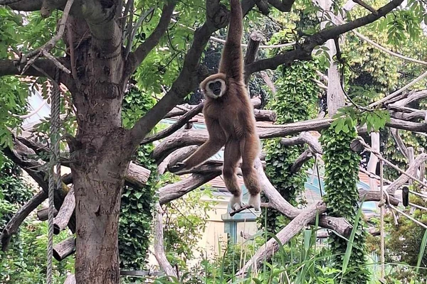 Zajęcia terenowe - ogrody zoologiczne w Wiedniu_13