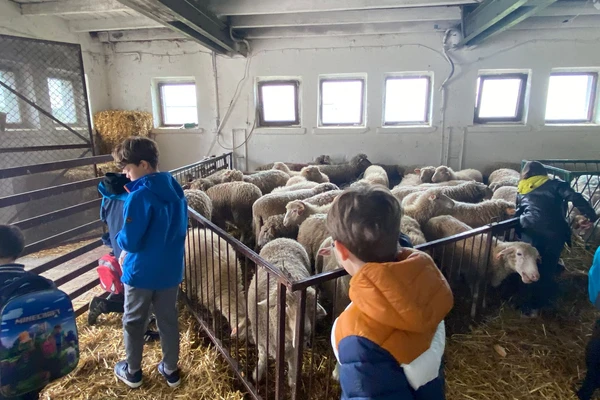 Dzieciaki na Bielanach