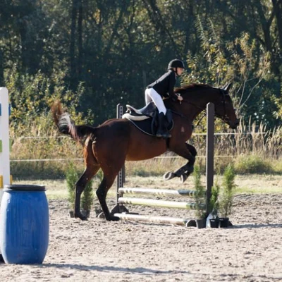 Hubertus 2019 - cz. III - konkurs skoków 50 cm (fot. Piotr Kawula)