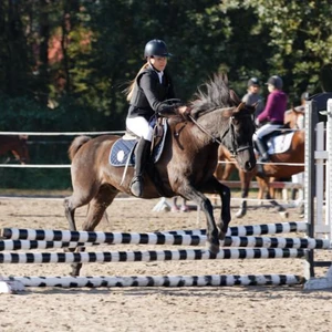 Hubertus 2019 - cz. III - konkurs skoków 50 cm (fot. Piotr Kawula)