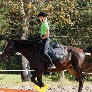 Hubertus 2019 - cz. IV - konkurs podskoków 20 cm (fot. Piotr Kawula)