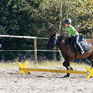 Hubertus 2019 - cz. IV - konkurs podskoków 20 cm (fot. Piotr Kawula)