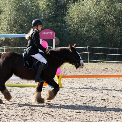 Hubertus 2019 - cz. III - konkurs skoków 50 cm (fot. Piotr Kawula)