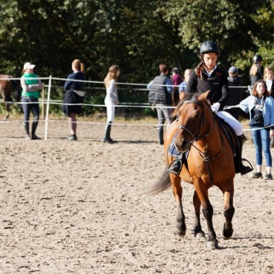 Hubertus 2019 - cz. III - konkurs skoków 50 cm (fot. Piotr Kawula)