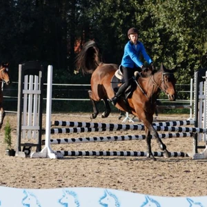 Hubertus 2019 - cz. II - konkurs skoków 70 cm (fot. Piotr Kawula)