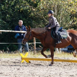 Hubertus 2019 - cz. IV - konkurs podskoków 20 cm (fot. Piotr Kawula)