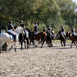 Hubertus 2019 - cz. VII - pogoń za lisem o puchar Dziekana (fot. Piotr Kawula)